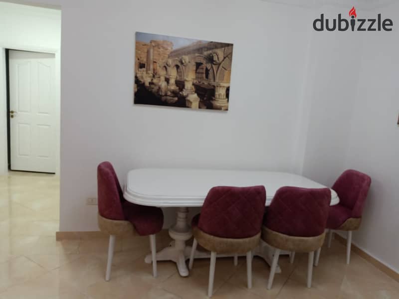 Furnished apartment for rent in Gardenia City Zone 8 in Nasr City 4