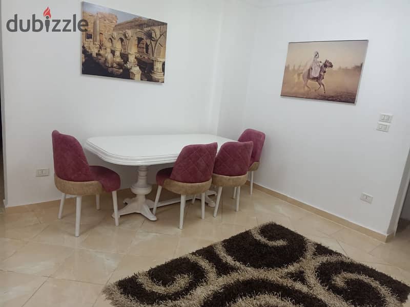 Furnished apartment for rent in Gardenia City Zone 8 in Nasr City 5