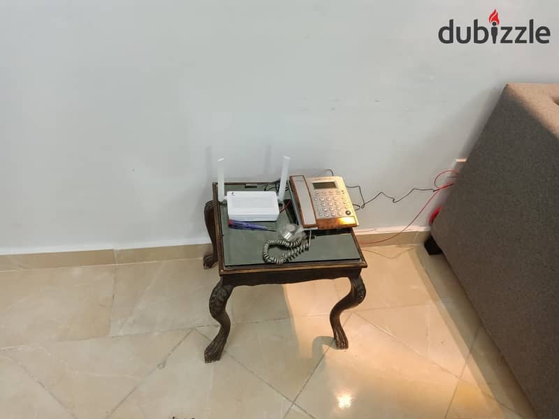 Furnished apartment for rent in Gardenia City Zone 8 in Nasr City 8