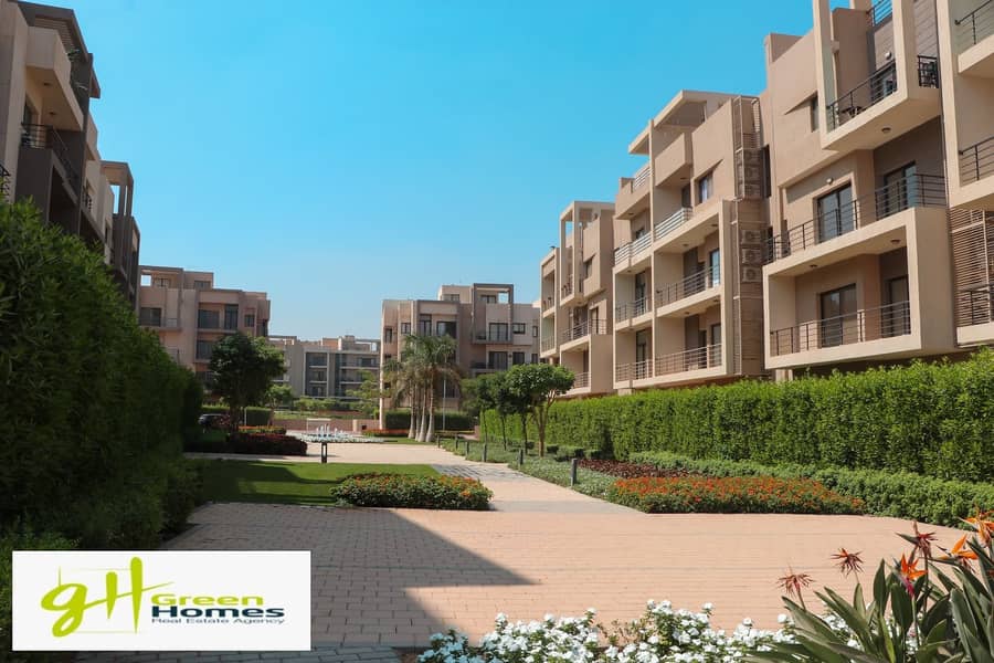 Own a distinctive unit with an area of 250 square meters 13