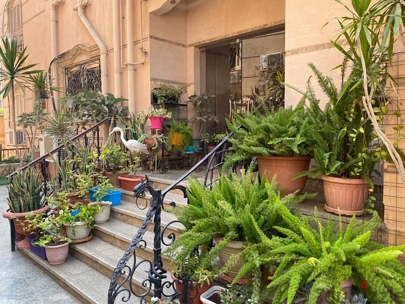 2/3 Lovely Bedroom Apartment in the Heart of New Cairo 3