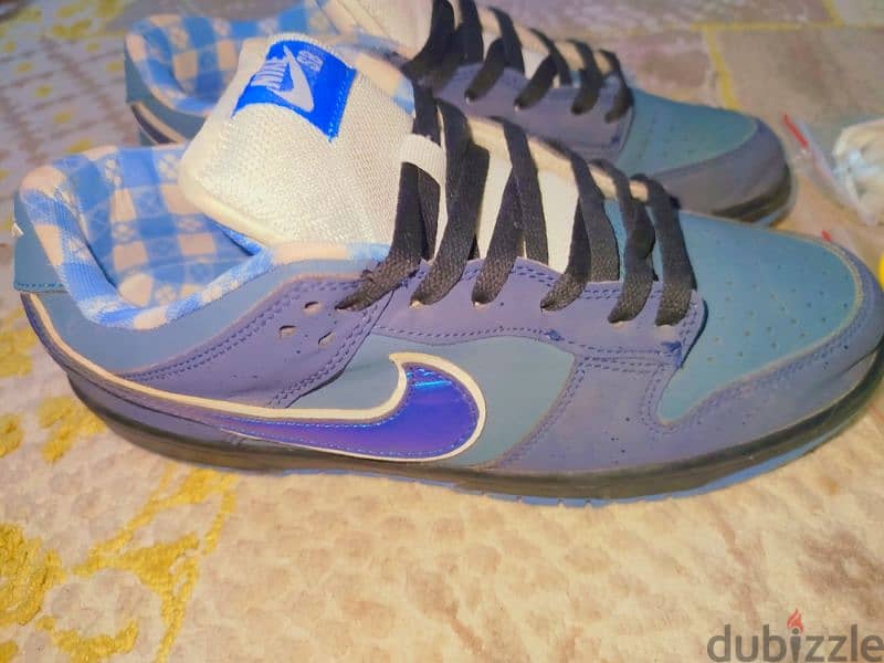 SB dank shoes 43 ميرور 1