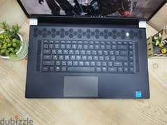 Dell  Alienware X17 R1