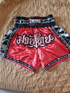 Muay Thai Twins Special - Shorts