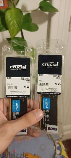 رام 16 gb ddr5 circuit 0