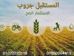 ارض للبيع في الفيوم 10 فدان \ Land for sale in al fayoum