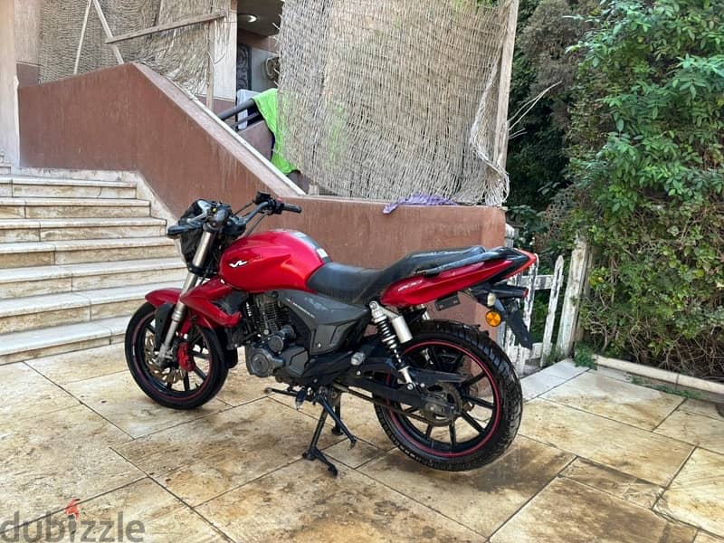 benelli vlm 200cc 6