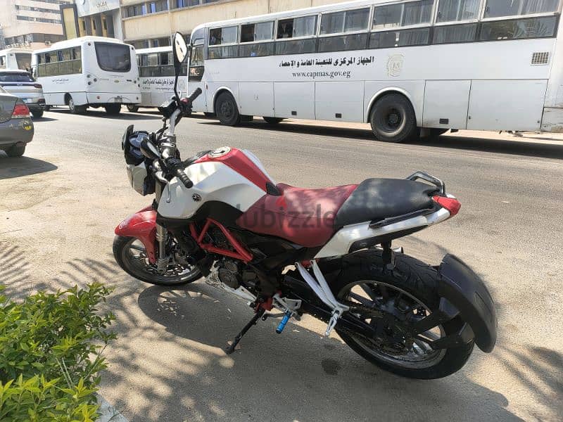 Benelli TNT 250 2017 بحاله ممتازه 1