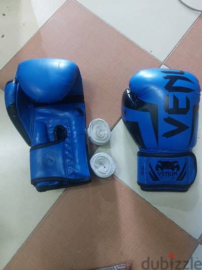 Kick boxing or boxing gloves