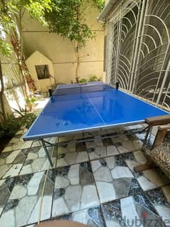 ping pong table with a small fissure on it 0