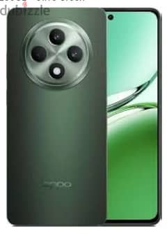 oppo reno 12 4G