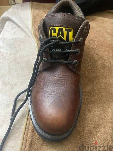 cat shoes 1