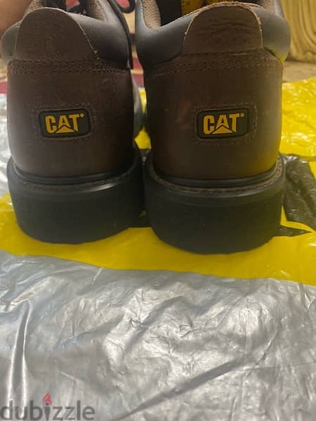 cat shoes 5