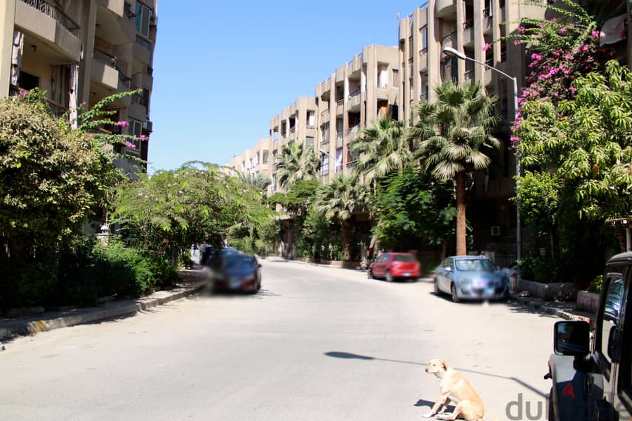 Apartment for Rent Mearag Alwy City - شقة للايجار فى المعراج العلوى 1