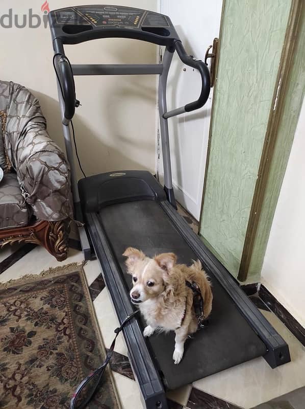 treadmill for sale 4