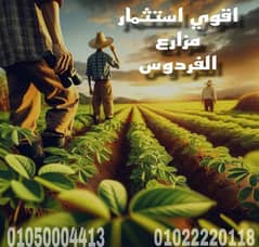 ارض للبيع في الفيوم 20 فدان \ Land for sale in al fayoum