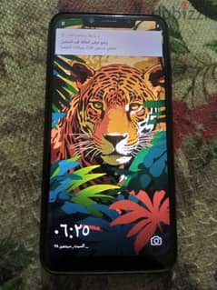 camon 11