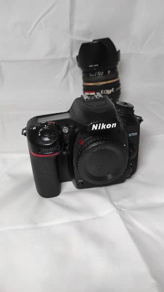 Nikon Camera / Tamron Lens 1