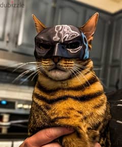 Batcat mask