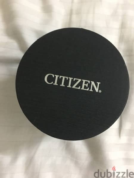 Citizen Echo Drive watch (from USA) 4