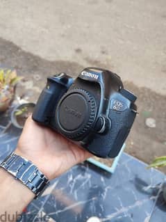 Canon 6D