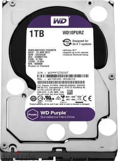 WD Surveillance Hard Drive, 1TB, Purple -