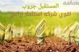 ارض للبيع في الفيوم 20 فدان \ Land for sale in al fayoum