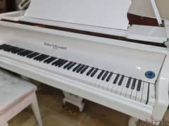 professional Baby Grand Piano For pianists