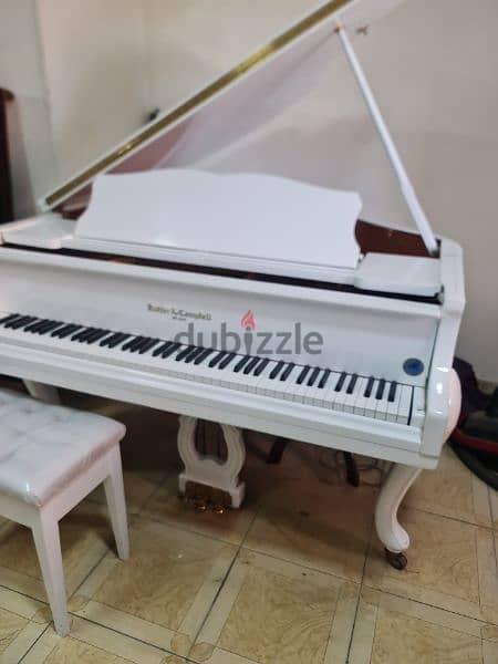 professional Baby Grand Piano For pianists 1