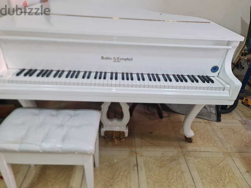 professional Baby Grand Piano For pianists 2