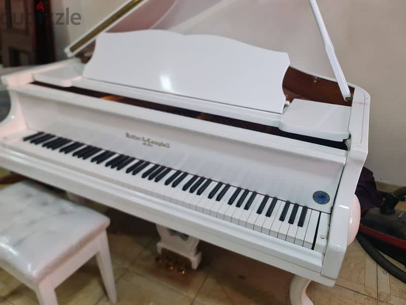 professional Baby Grand Piano For pianists 3