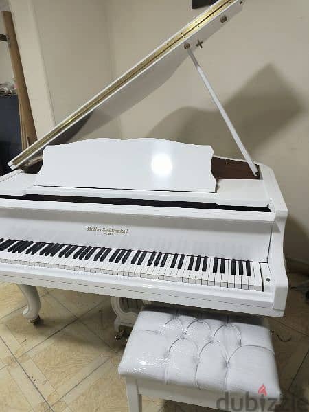 professional Baby Grand Piano For pianists 8