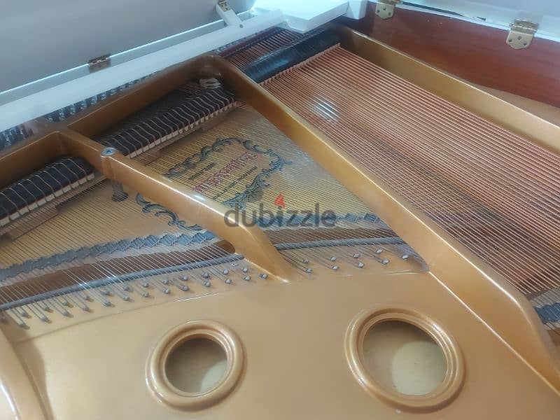 professional Baby Grand Piano For pianists 12