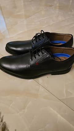 clarks 44