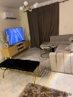 Furnished apartment for rent in Gardenia City Zone 6 in Nasr City