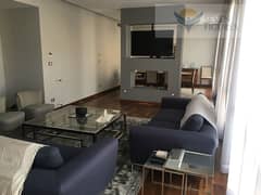 Apartments for Rent  furnished  west town sodic