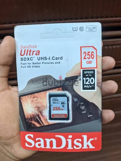 Sandisk 256GB