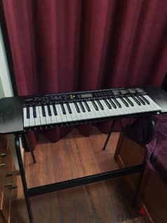 Casio Keyboard CTK 245