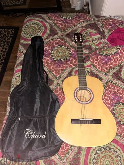 chard guitar 39 inch classic