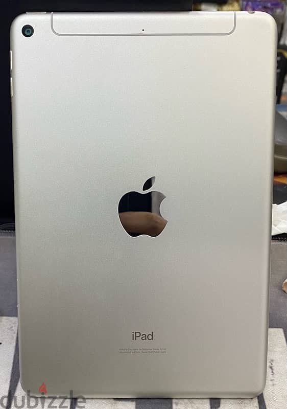 iPad mini 5 0