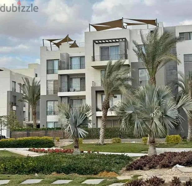 شقه غرفتين palm hills التجمع بدون مقدم اقساط10سنينfor sale 10