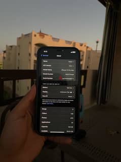 iPhone 12 Pro Max بلطيم كفرالشيخ