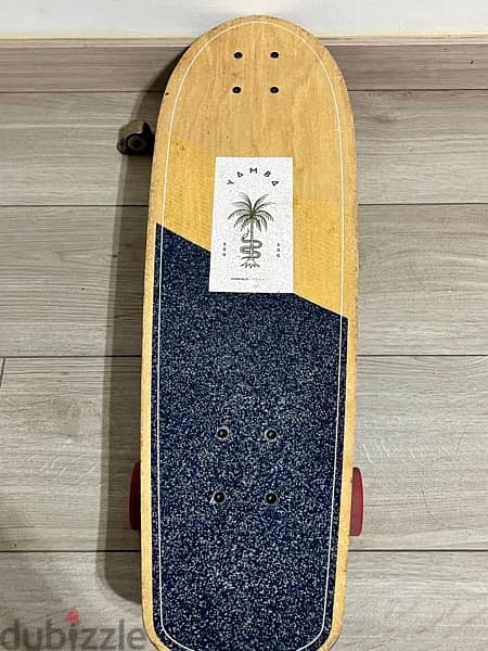 skateboard 1