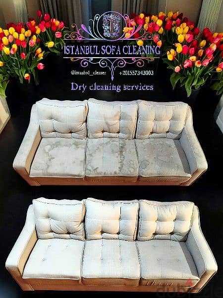 sofa cleaning 2