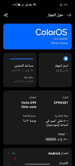 الشرابيه