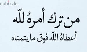 كلب حراسه للتبني