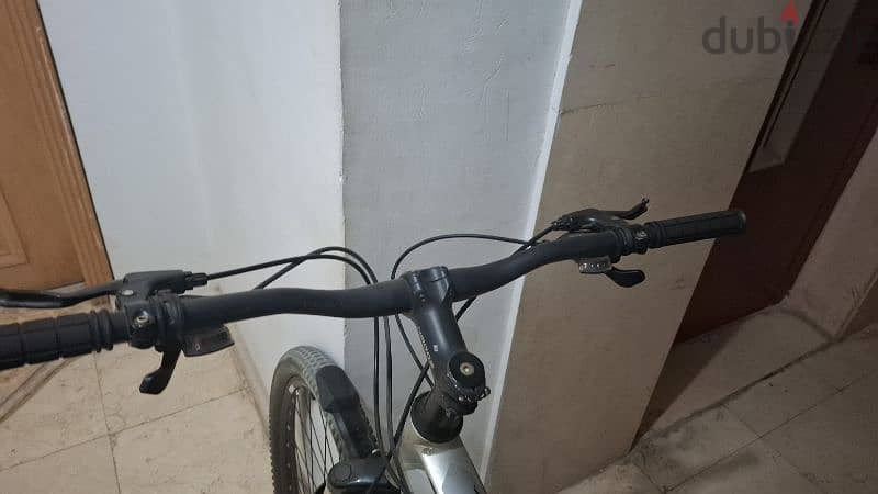 Hador adult gray bicycle 2