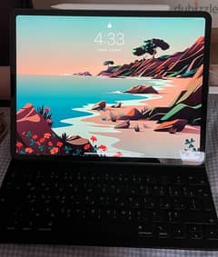 Ipad Pro (4th Gen) - 512 GB - 12.9 inches (barely used)