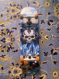 skateboard used