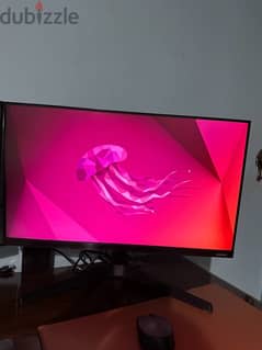 Samsung T35F 24 Inch 75hz 5ms IPS “as new”